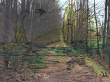 linda čihařov&aacute; - emokraj